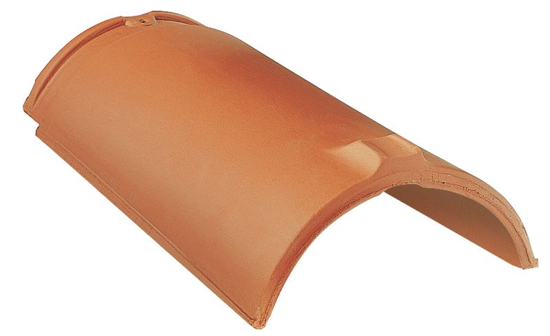 ROG gąsior BZ