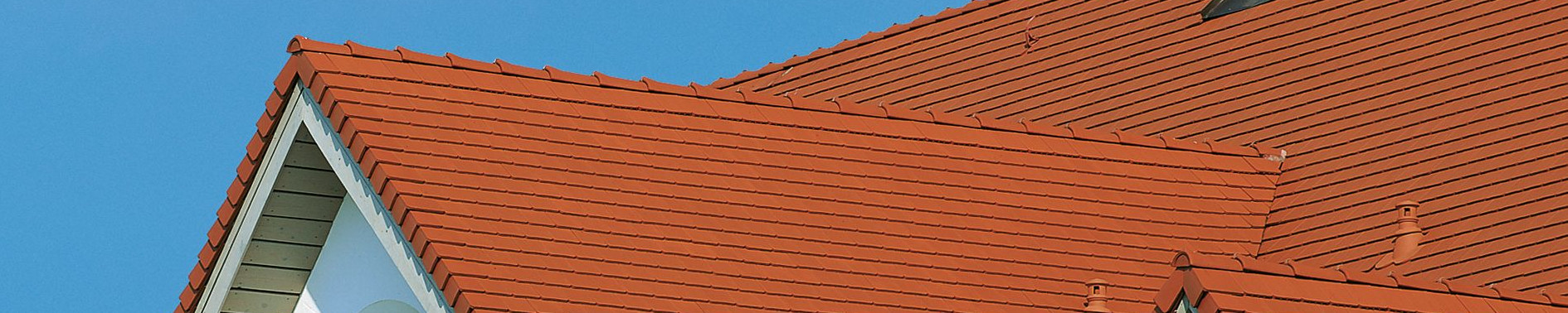 Dachówka karpiówka AMBIENTE krój prosty