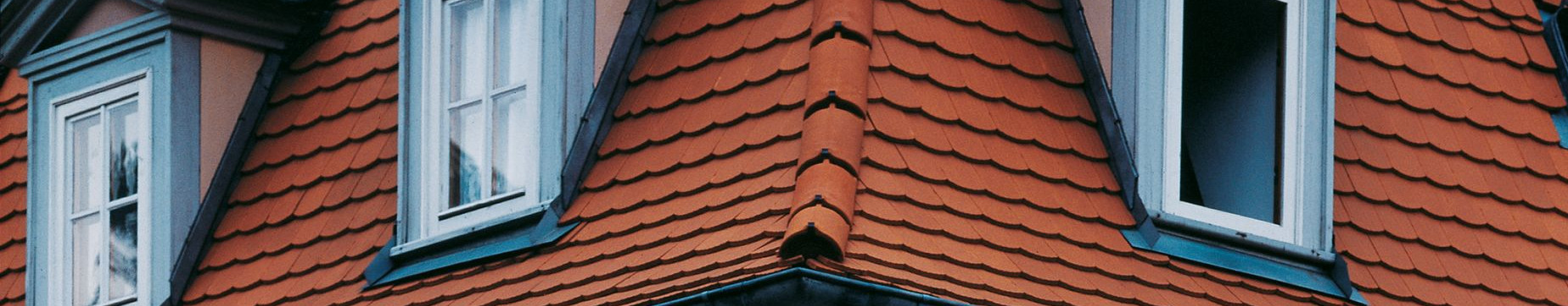 Dachówka karpiówka AMBIETE krój segmentowy