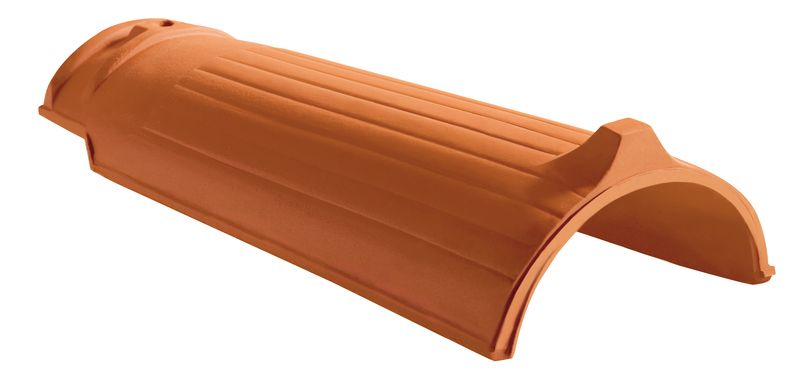 ROG gąsior BMK