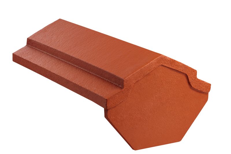 Gąsior początkowy